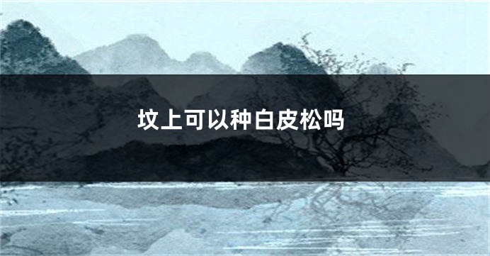 坟上可以种白皮松吗