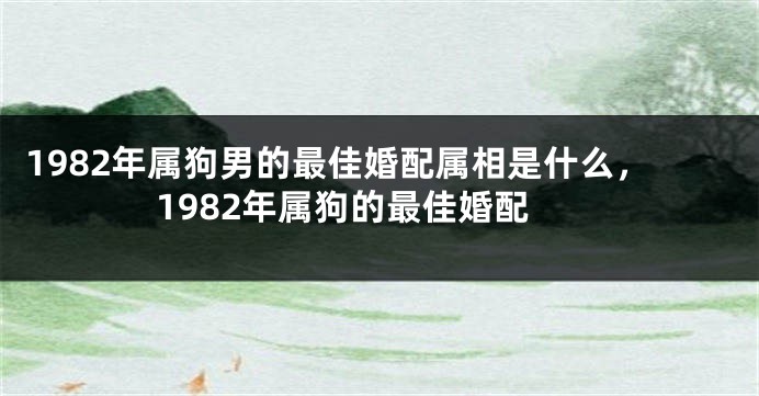 1982年属狗男的最佳婚配属相是什么，1982年属狗的最佳婚配
