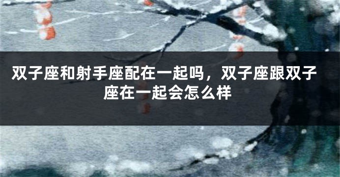 双子座和射手座配在一起吗,双子座跟双子座在一起会怎么样
