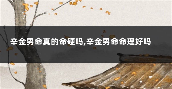 辛金男命真的命硬吗,辛金男命命理好吗