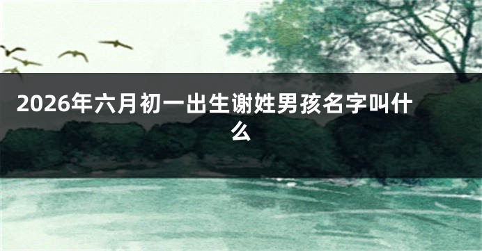 2026年六月初一出生谢姓男孩名字叫什么
