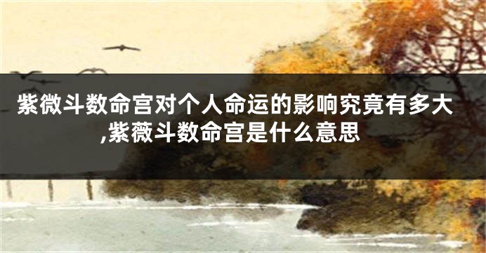 紫微斗数命宫对个人命运的影响究竟有多大,紫薇斗数命宫是什么意思