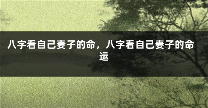 八字看自己妻子的命，八字看自己妻子的命运