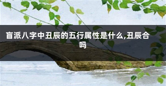 盲派八字中丑辰的五行属性是什么,丑辰合吗