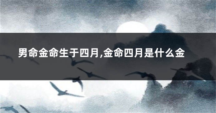 男命金命生于四月,金命四月是什么金