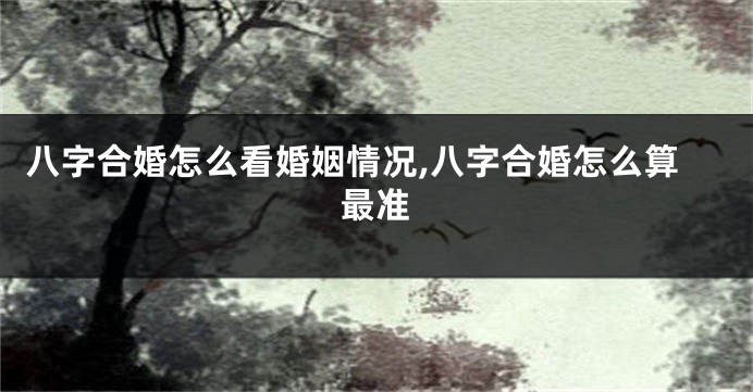 八字合婚怎么看婚姻情况,八字合婚怎么算最准