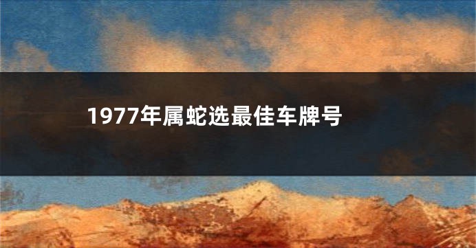 1977年属蛇选最佳车牌号