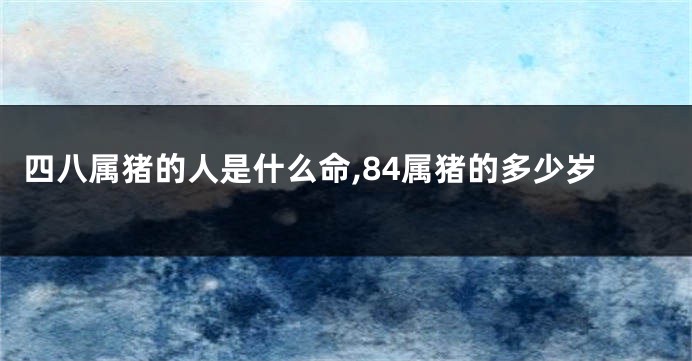 四八属猪的人是什么命,84属猪的多少岁