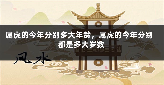 属虎的今年分别多大年龄，属虎的今年分别都是多大岁数