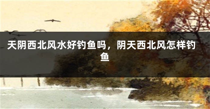 天阴西北风水好钓鱼吗，阴天西北风怎样钓鱼