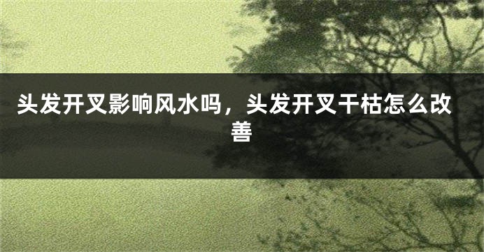 头发开叉影响风水吗，头发开叉干枯怎么改善