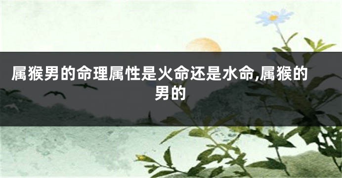 属猴男的命理属性是火命还是水命,属猴的男的