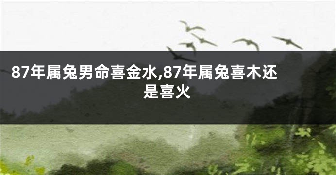 87年属兔男命喜金水,87年属兔喜木还是喜火