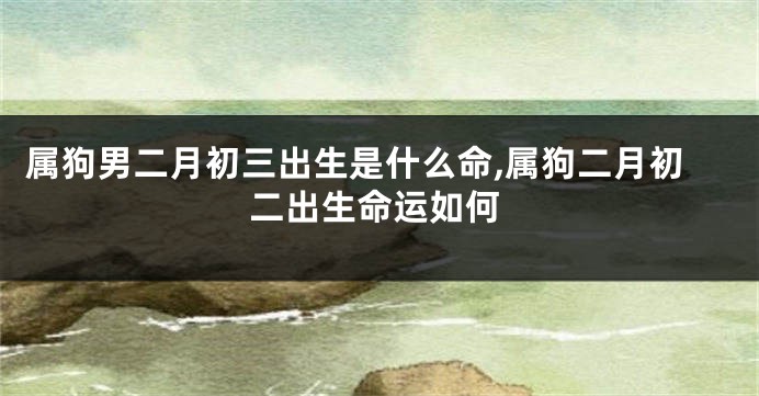 属狗男二月初三出生是什么命,属狗二月初二出生命运如何