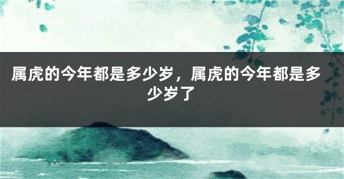 属虎的今年都是多少岁，属虎的今年都是多少岁了