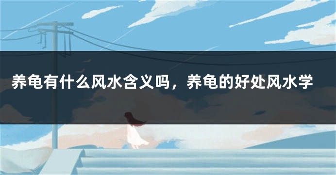 养龟有什么风水含义吗,养龟的好处风水学