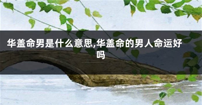 华盖命男是什么意思,华盖命的男人命运好吗