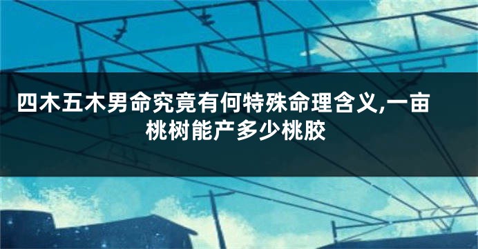 四木五木男命究竟有何特殊命理含义,一亩桃树能产多少桃胶