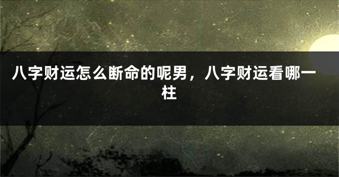 八字财运怎么断命的呢男,八字财运看哪一柱