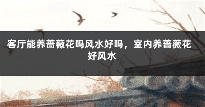 客厅能养蔷薇花吗风水好吗，室内养蔷薇花好风水