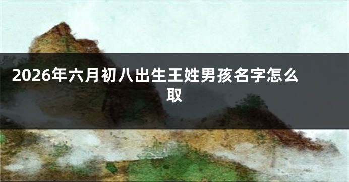 2026年六月初八出生王姓男孩名字怎么取