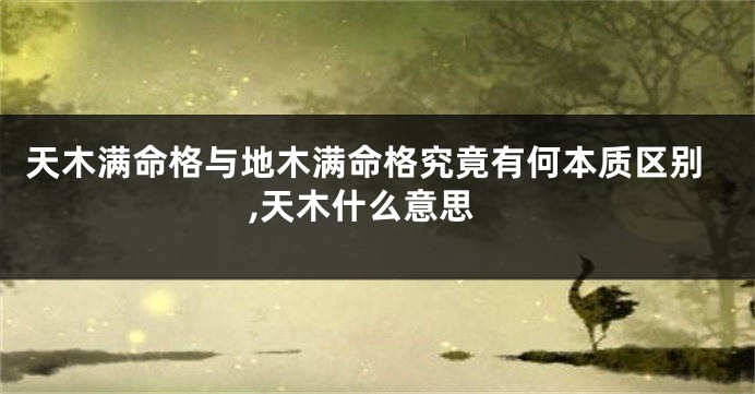 天木满命格与地木满命格究竟有何本质区别,天木什么意思