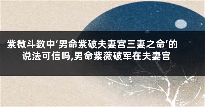 紫微斗数中‘男命紫破夫妻宫三妻之命’的说法可信吗,男命紫薇破军在夫妻宫