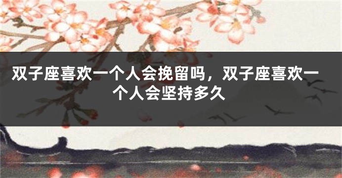 双子座喜欢一个人会挽留吗,双子座喜欢一个人会坚持多久