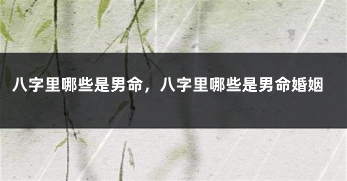 八字里哪些是男命，八字里哪些是男命婚姻