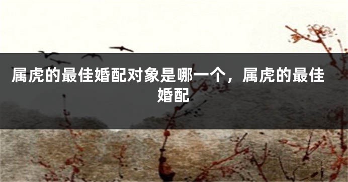 属虎的最佳婚配对象是哪一个，属虎的最佳婚配