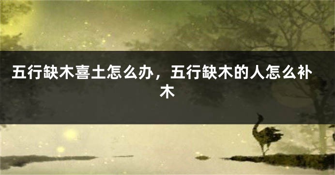 五行缺木喜土怎么办,五行缺木的人怎么补木