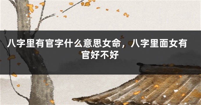 八字里有官字什么意思女命,八字里面女有官好不好