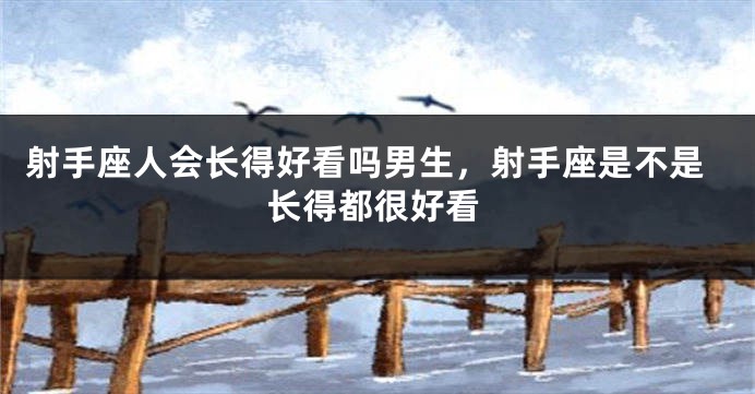 射手座人会长得好看吗男生,射手座是不是长得都很好看