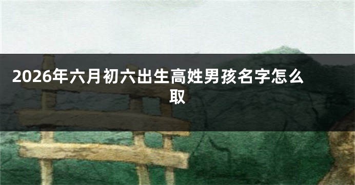 2026年六月初六出生高姓男孩名字怎么取