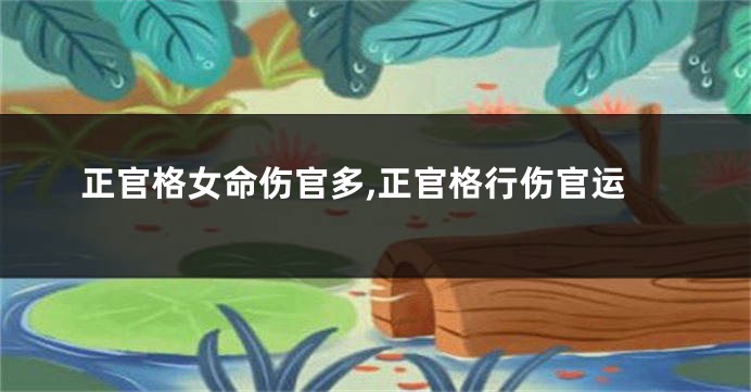 正官格女命伤官多,正官格行伤官运