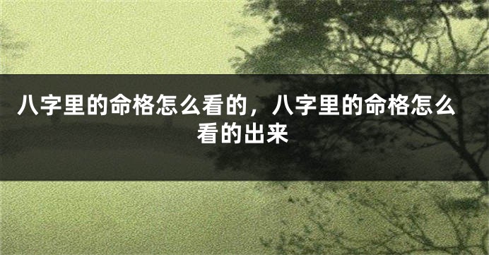 八字里的命格怎么看的,八字里的命格怎么看的出来