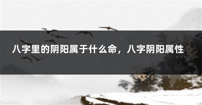 八字里的阴阳属于什么命，八字阴阳属性