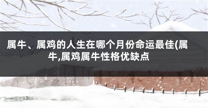 属牛、属鸡的人生在哪个月份命运最佳(属牛,属鸡属牛性格优缺点
