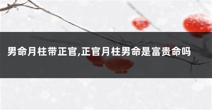 男命月柱带正官,正官月柱男命是富贵命吗