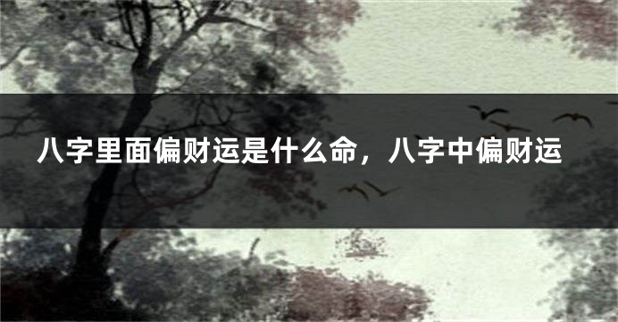 八字里面偏财运是什么命，八字中偏财运