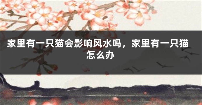 家里有一只猫会影响风水吗，家里有一只猫怎么办