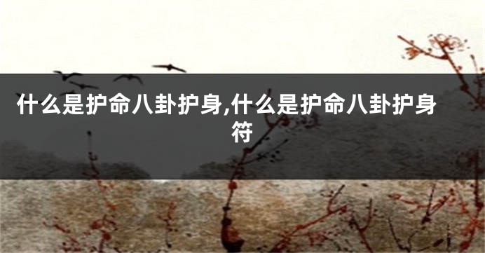 什么是护命八卦护身,什么是护命八卦护身符