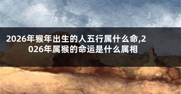 2026年猴年出生的人五行属什么命,2026年属猴的命运是什么属相