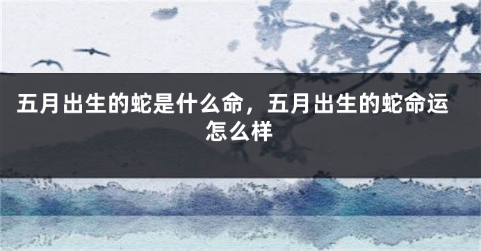 五月出生的蛇是什么命,五月出生的蛇命运怎么样