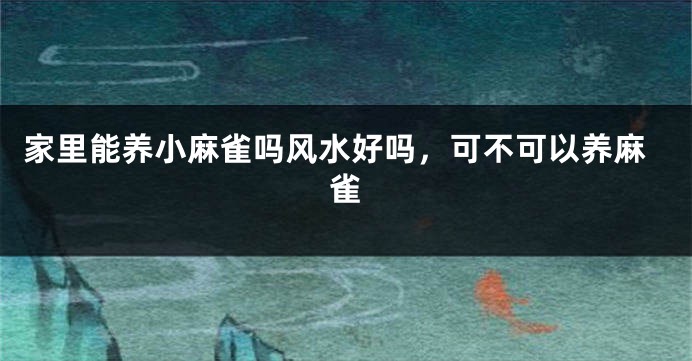 家里能养小麻雀吗风水好吗，可不可以养麻雀