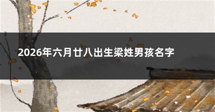 2026年六月廿八出生梁姓男孩名字