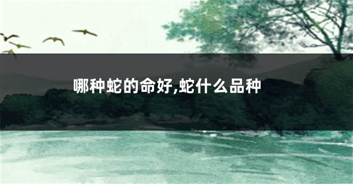哪种蛇的命好,蛇什么品种
