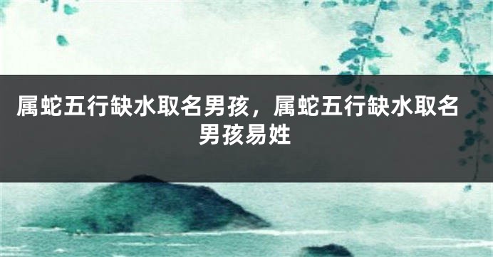 属蛇五行缺水取名男孩,属蛇五行缺水取名男孩易姓