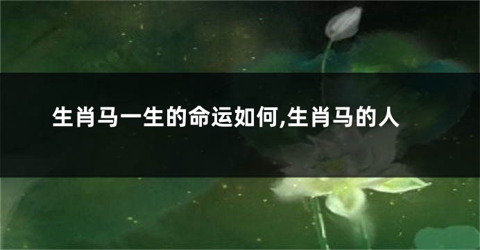 生肖马一生的命运如何,生肖马的人