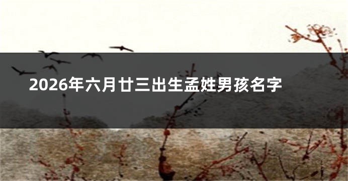 2026年六月廿三出生孟姓男孩名字